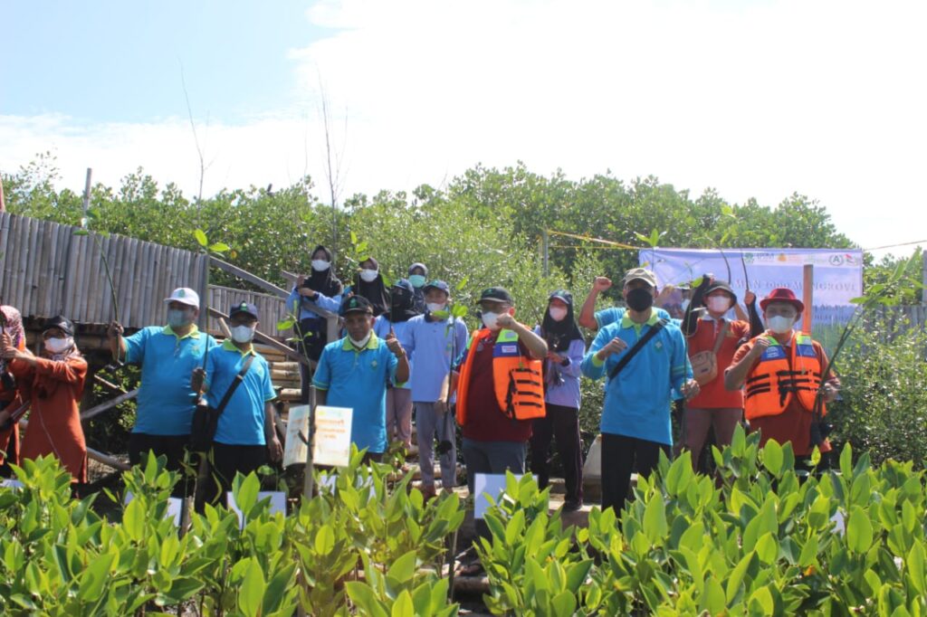 Rektor UIN Walisongo Pimpin Tanam 2000 Mangrove Mahasiswa KKN-MMK BPI 2022