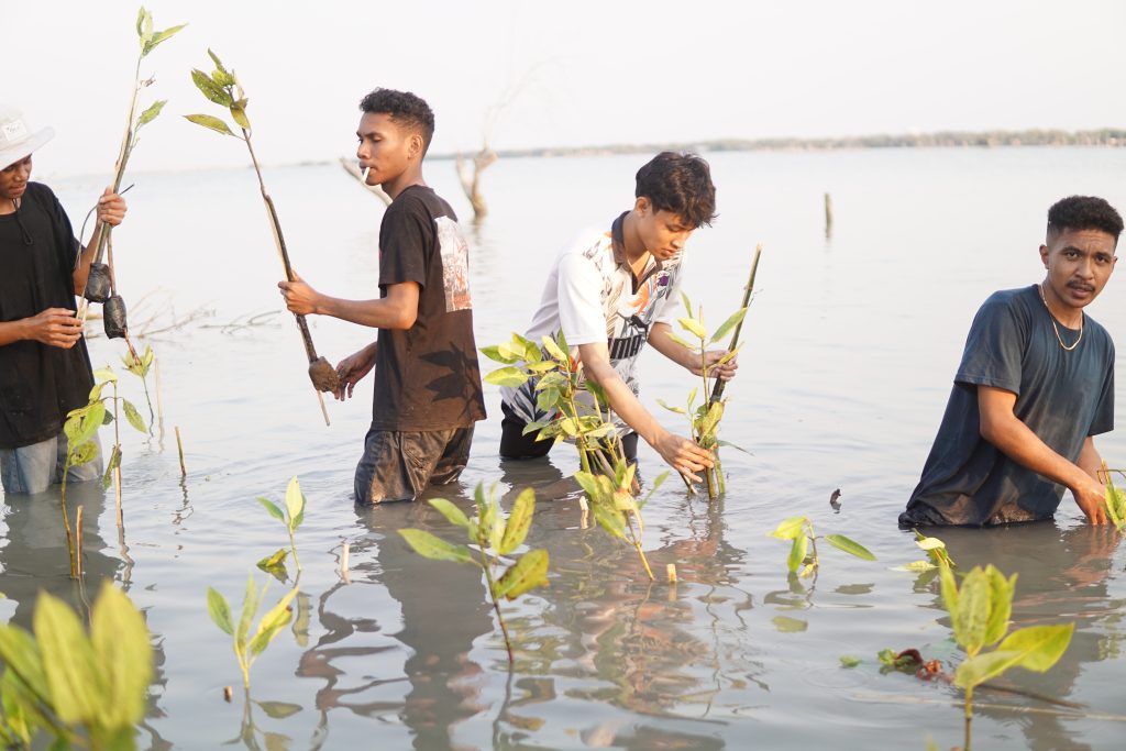 Sejumlah HMI Komisariat di Kota Semarang Berkolaborasi Tanam Ribuan Bibit Mangrove