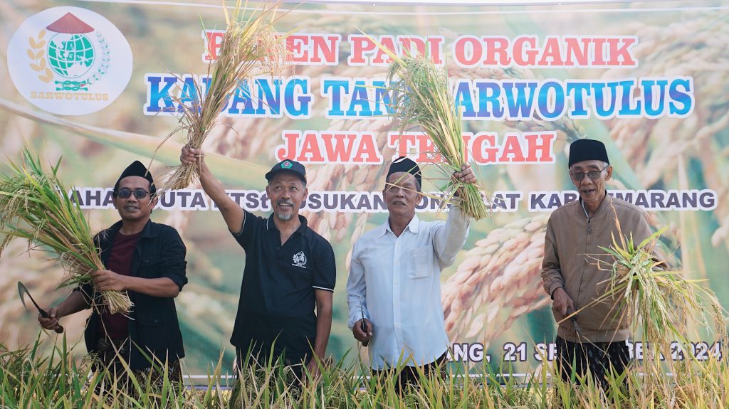 Jos, Hasil Panen Padi Kadang Tani Sarwotulus Capai 13 Ton